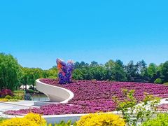 -上海鲜花港