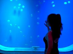 -福州罗源湾海洋世界旅游区