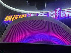 -枫花园汽车电影院(朝阳公园店)