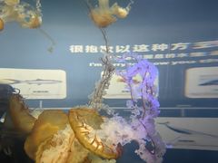-重庆欢乐海底世界