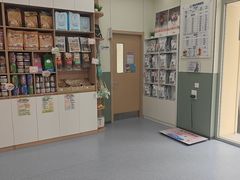 -爱佳宠物中心医院24H·CT·骨外科·猫专科(瑶海万达店)