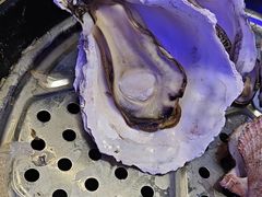 -巧克力渔家.小船海鲜家常菜(三浴场店)