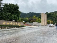 -铁山坪森林公园