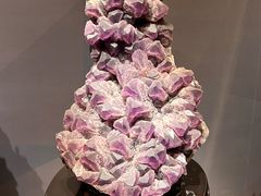 -湖南省地质博物馆