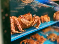 -蟹田居·活蟹料理(东城店)