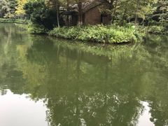 -桂林古东瀑布景区