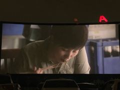 -枫花园汽车电影院(朝阳公园店)