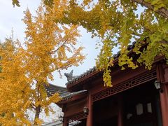 -楚望台遗址公园
