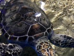 -石林冰雪海洋世界