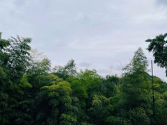-灵隐飞来峰景区
