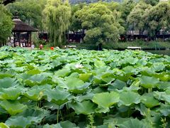 -承德避暑山庄景区