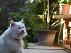 -创艺无限·赵春香微妙艺术馆