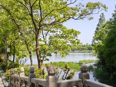 -长广溪湿地公园