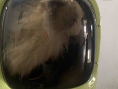 -宠颐生中康贝怡动物医院