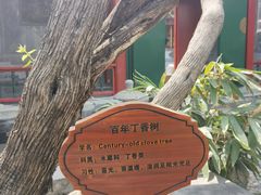 -上海老饭店(北京分店)