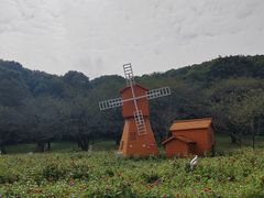 -苏州上方山国家森林公园
