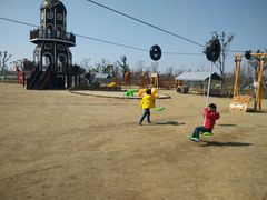 -上海长兴岛郊野公园