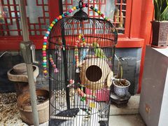 -程府宴(南长街四合院店)
