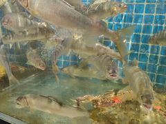 -崂山水果园农家宴(泉水鸡店)
