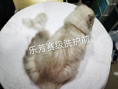 -汪小喵宠物·戴维斯乐芳希施宠馨宝皮毛调理洗护店