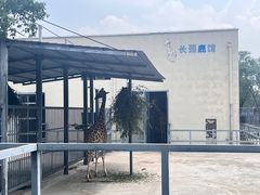 -上方山森林动物世界