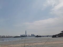 -昆山城市生态森林公园