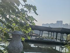 -洋湖国家湿地公园