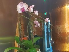 -青螺餐厅·家宴(松雅湖店)