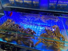 -鸽子侯·家宴·平价海鲜(市图书馆店)