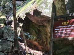 -大鄣山卧龙谷景区