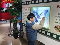 -上海昆虫博物馆