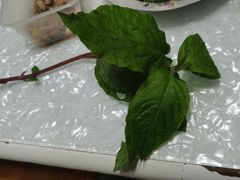 -赫尔森口腔·牙齿种植修复