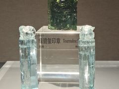-中国地质博物馆