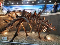 -国家自然博物馆