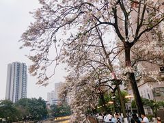 -成都市文化公园