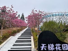 -盈香心动乐园