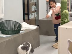 -Cappucimeow猫咪咖啡馆(韦伯时代店)