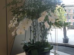 -上海明天广场JW万豪酒店