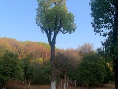 -艾溪湖湿地公园