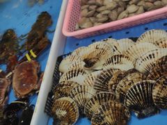 -南沙十九涌渔人码头-南门