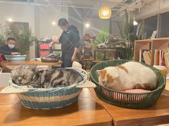 -Cappucimeow猫咪咖啡馆(韦伯时代店)
