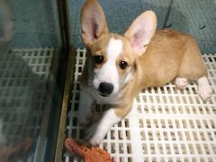 -乐宠宠物店(世纪金源店)