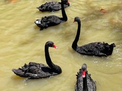 -南京金牛湖风景区
