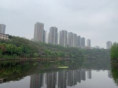 -重庆彩云湖湿地公园