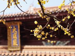 -苏州文庙(姑苏区)