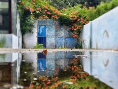 -黑石礁公园