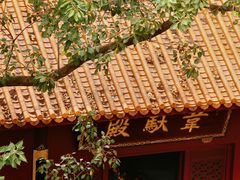 -深圳仙湖植物园