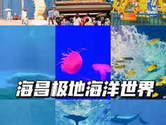 -海合安成都极地海洋公园