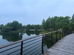 -尚贤河湿地