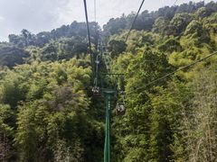 -缙云山景区